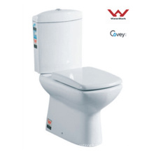 Washdown Two-Piece Toilet / Watermark Standard (CVT3882)